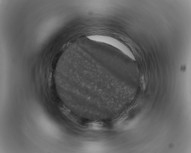 X0000094440525200711291639