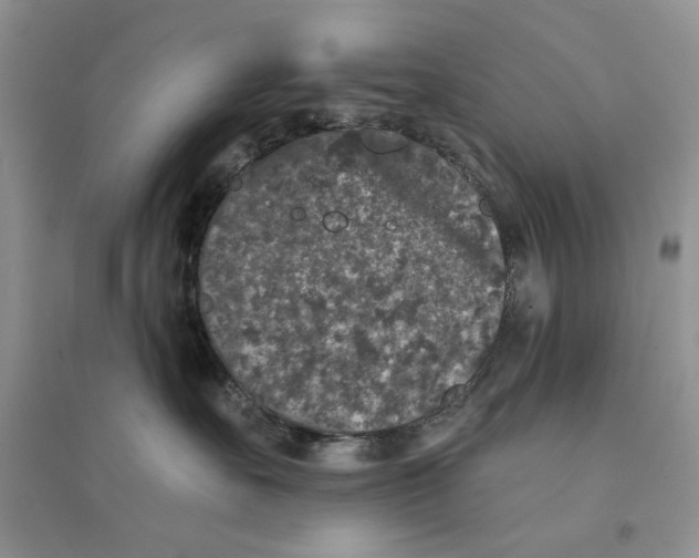 X0000094440527200711291639