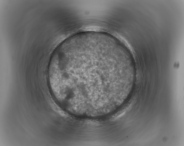 X0000094440529200711291638