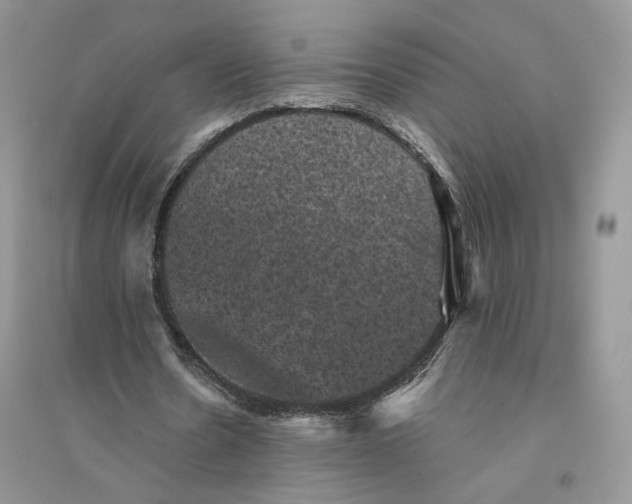 X0000094440530200711291638