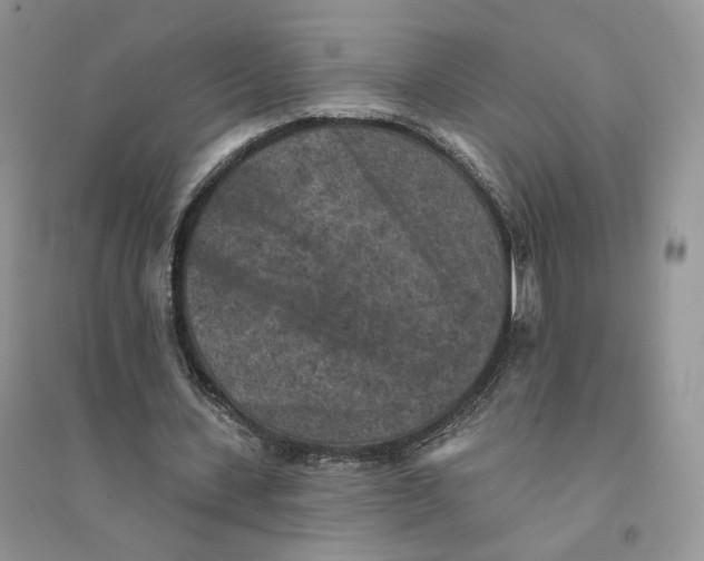 X0000094440531200711291638