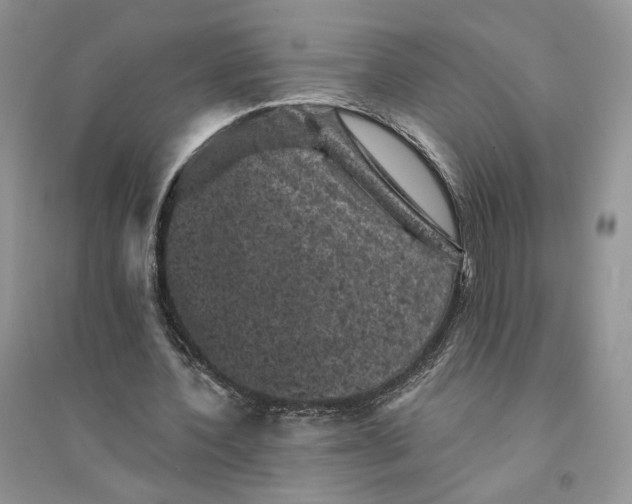 X0000094440532200711291638