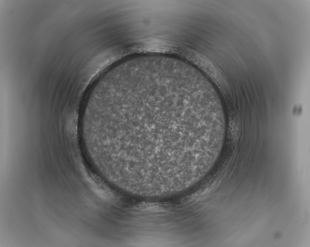 X0000094440534200711291638