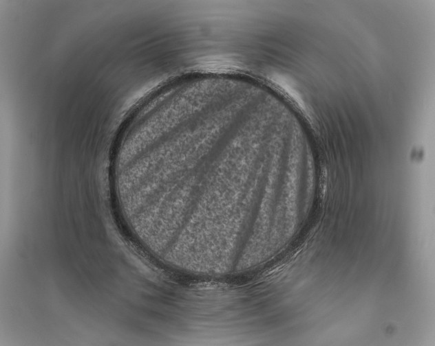 X0000094440535200711291638