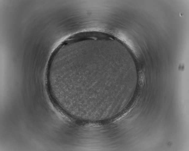 X0000094440536200711291638