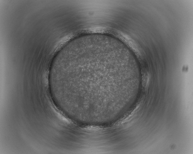 X0000094440537200711291638