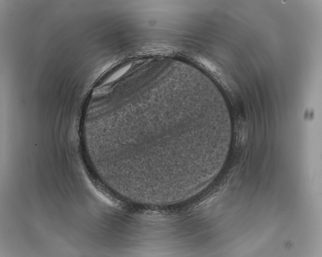 X0000094440538200711291638