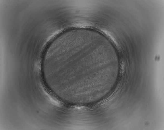 X0000094440539200711291638