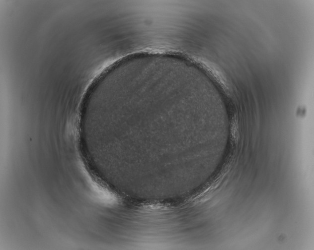 X0000094440540200711291638