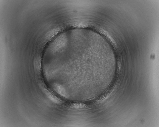 X0000094440541200711291638