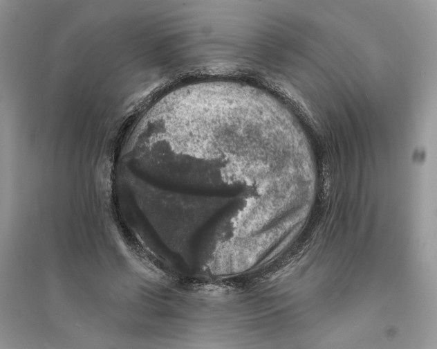 X0000094440542200711291638