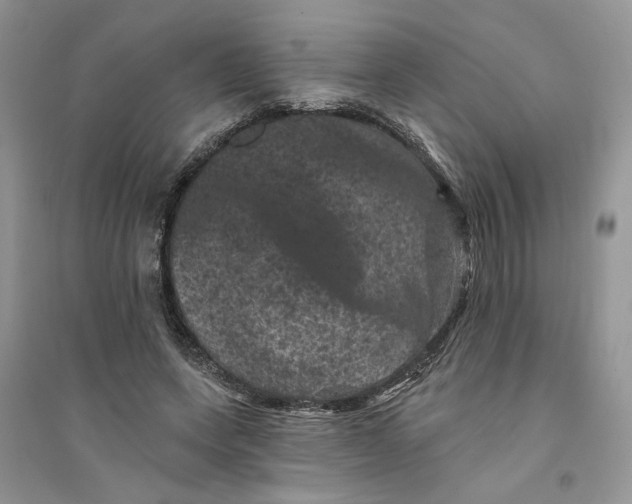 X0000094440543200711291638