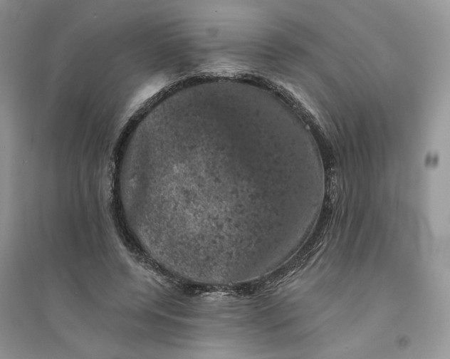 X0000094440544200711291638