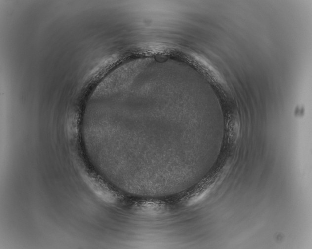 X0000094440546200711291638