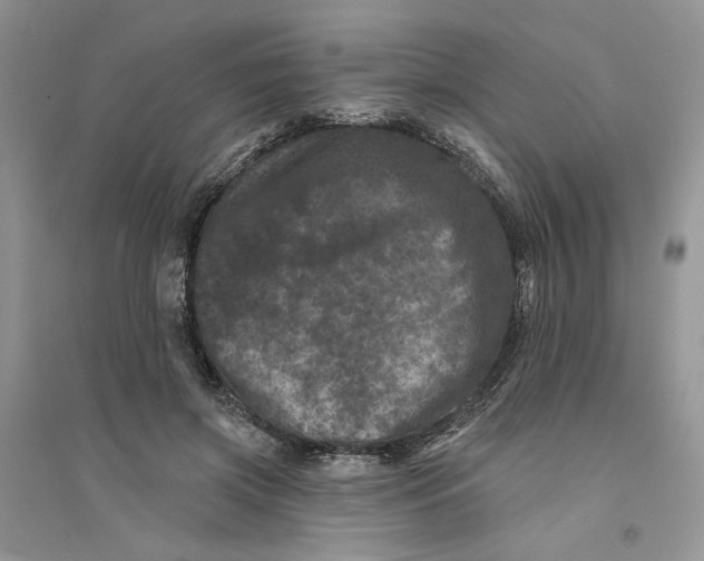 X0000094440549200711291638