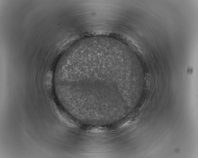 X0000094440550200711291638