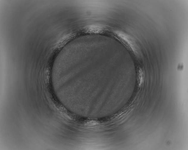 X0000094440551200711291638