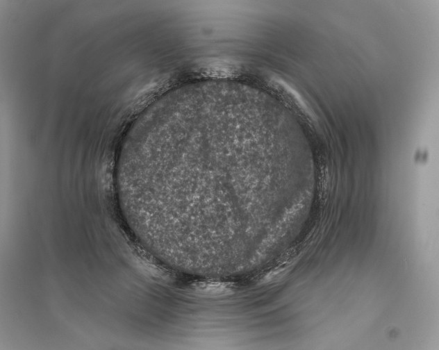 X0000094440553200711291638