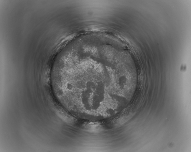 X0000094440554200711291638