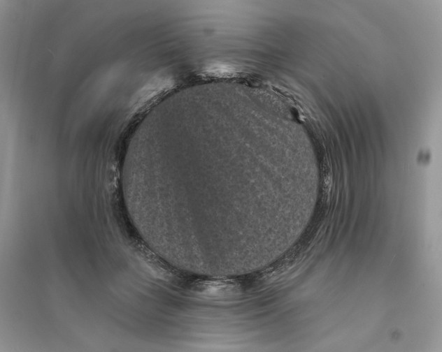 X0000094440555200711291638