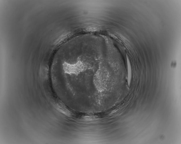 X0000094440556200711291638