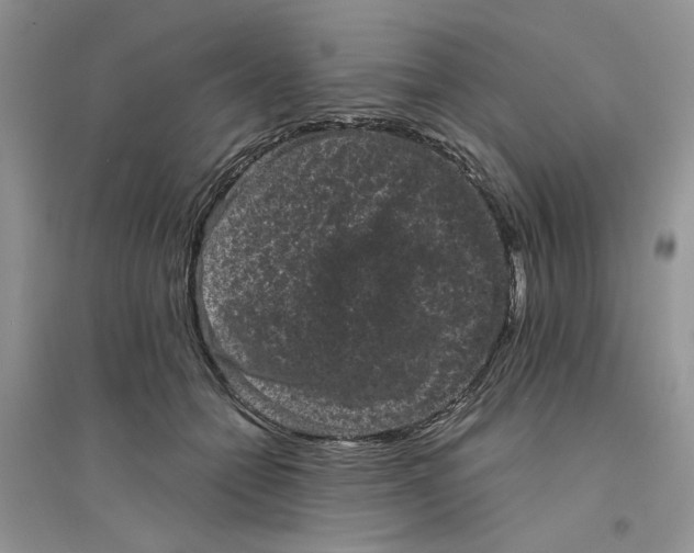 X0000094440558200711291638