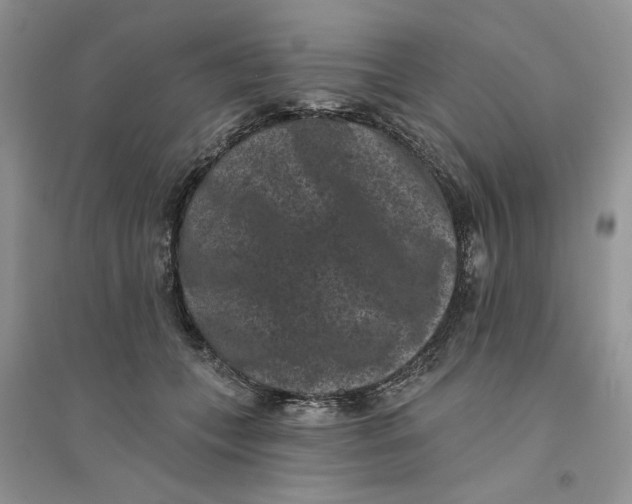 X0000094440559200711291638