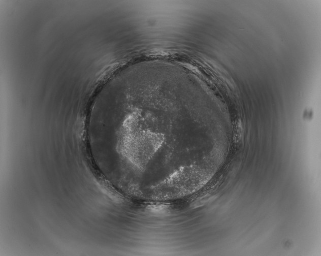 X0000094440560200711291638