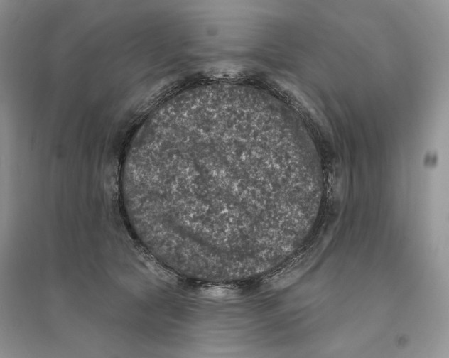 X0000094440561200711291638