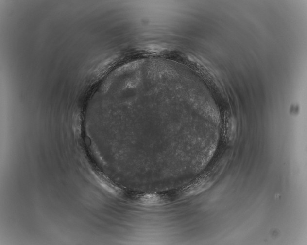 X0000094440562200711291638