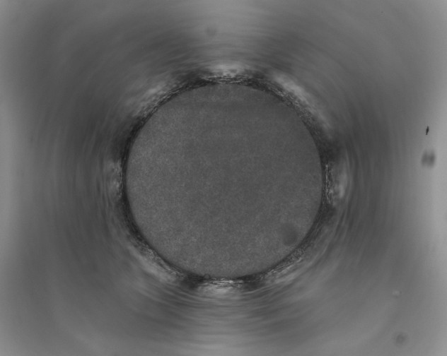 X0000094440563200711291638