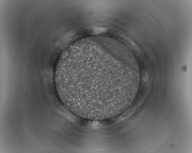 X0000094440565200711291639