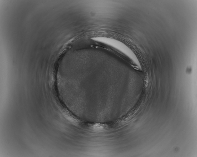 X0000094440566200711291639