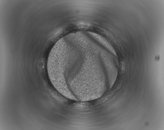 X0000094440567200711291639