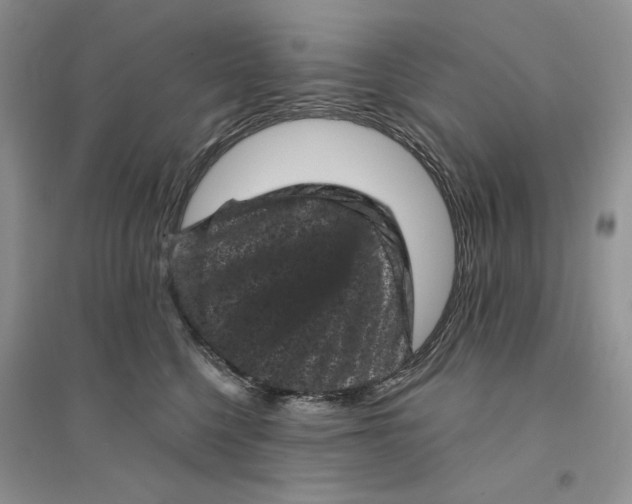 X0000094440568200711291639