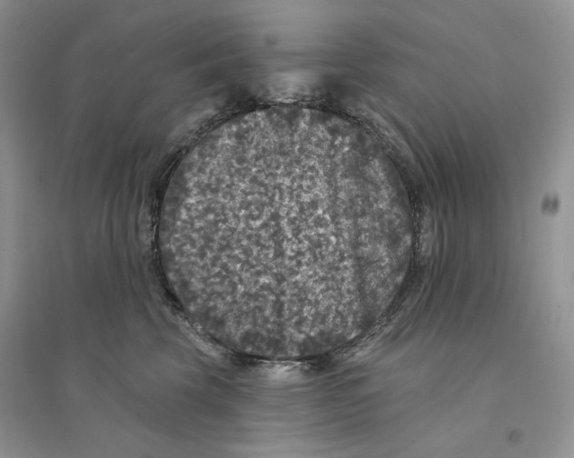 X0000094440569200711291639