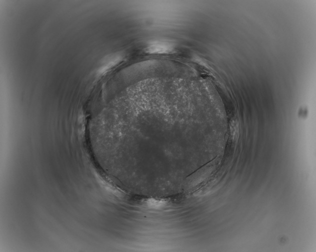 X0000094440570200711291639