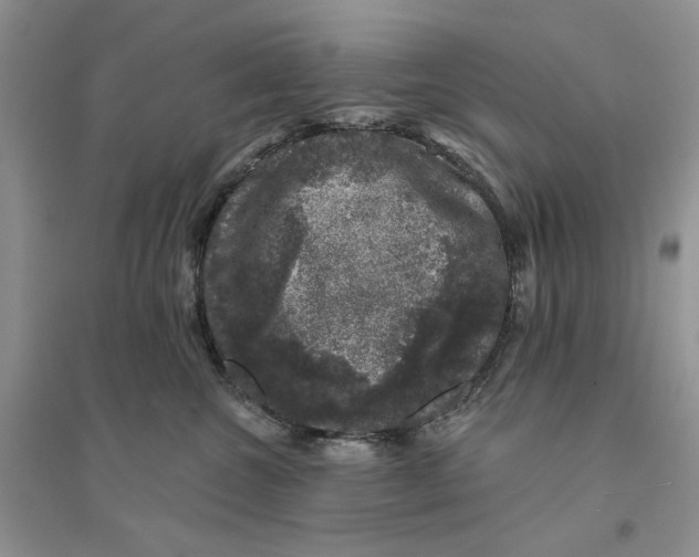 X0000094440572200711291639