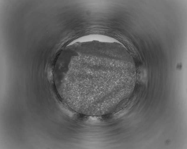 X0000094440573200711291639