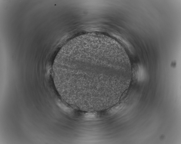 X0000094440574200711291639