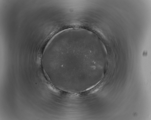 X0000094440576200711291639