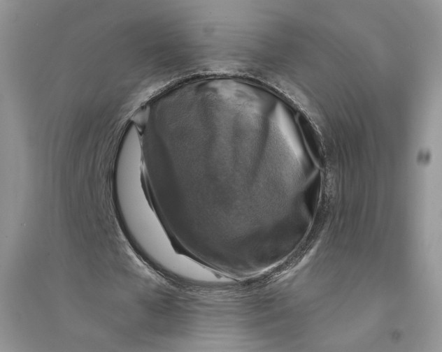 X0000094440577200711291638