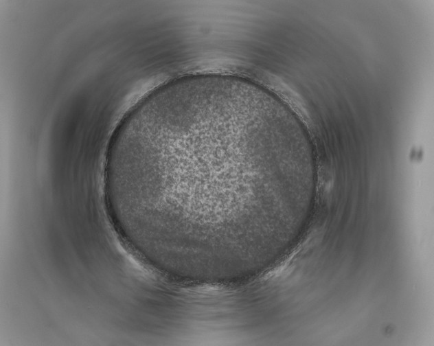 X0000094440578200711291638