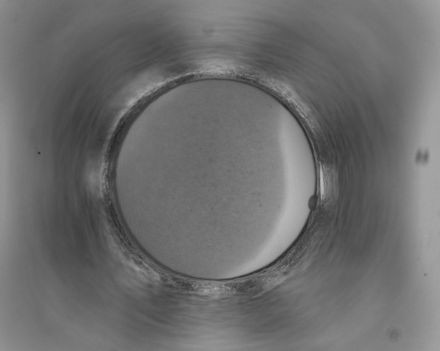 X0000094440579200711291638