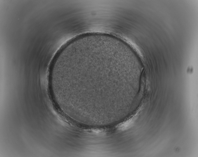 X0000094440580200711291638