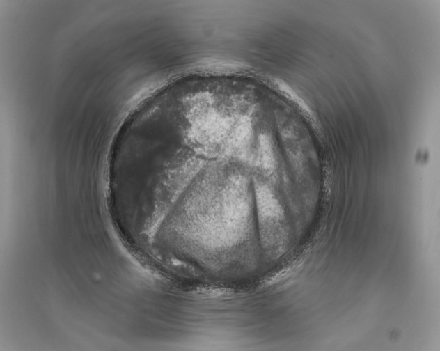 X0000094440582200711291638