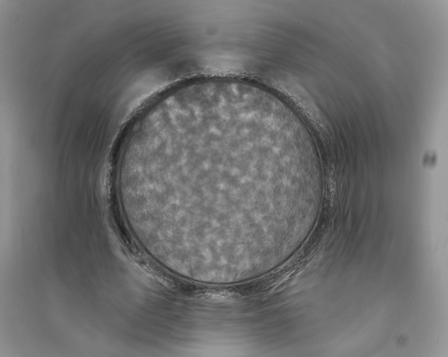 X0000094440583200711291638