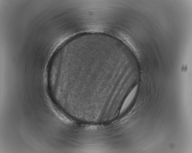 X0000094440584200711291638