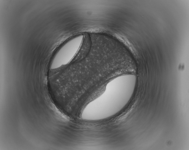 X0000094440585200711291638