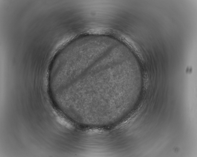 X0000094440586200711291638